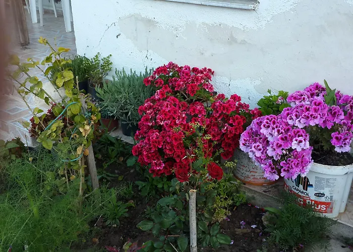 Keramos Boutique Oren (Milas)